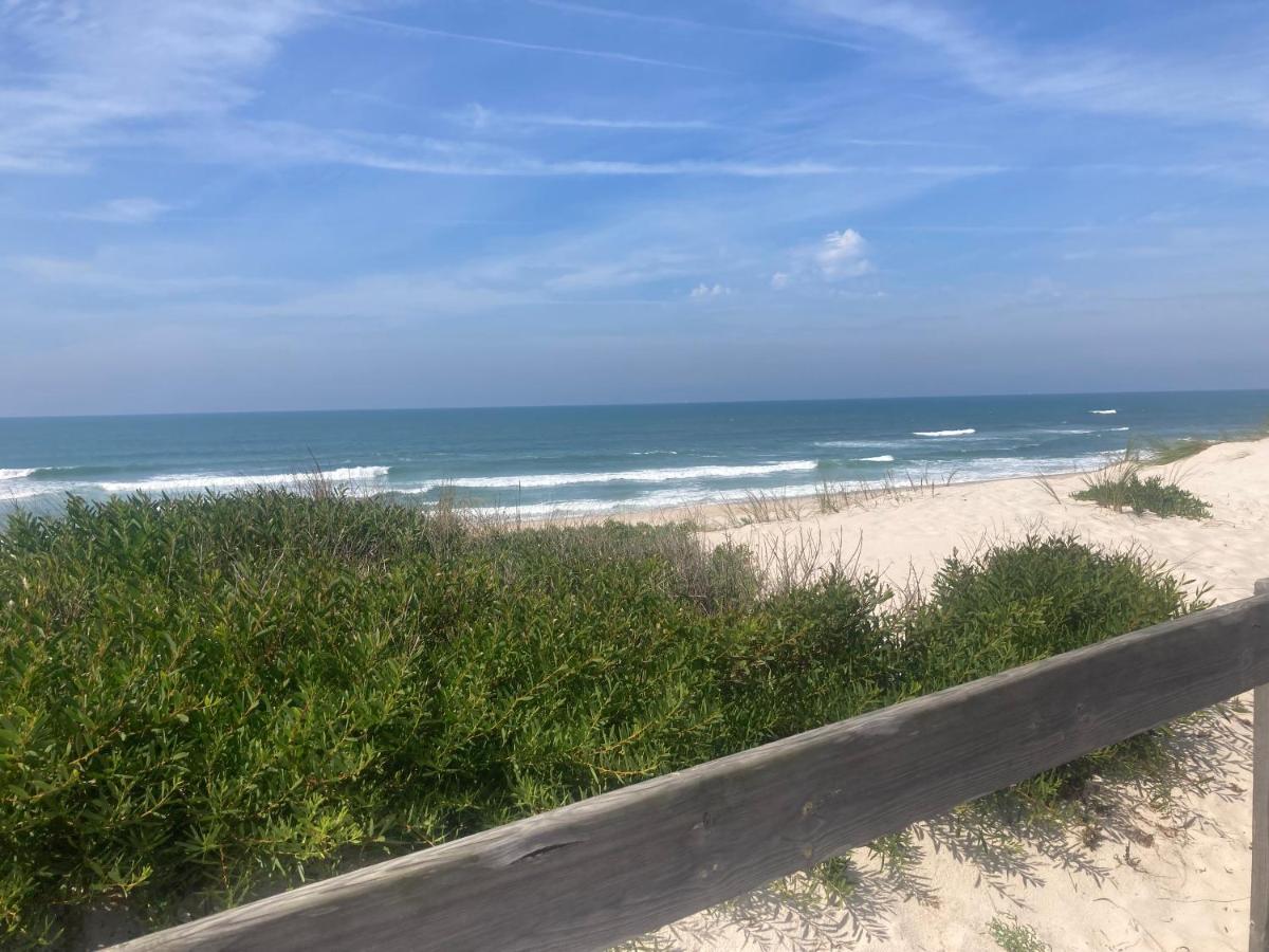 Areal Apartment Praia da Vagueira ภายนอก รูปภาพ